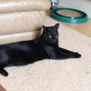 Meet your Posher, Christina